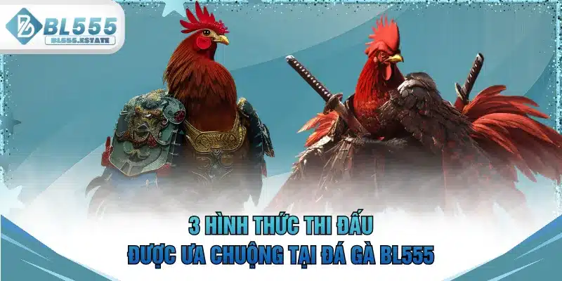 3 hình thức thi đấu được ưa chuộng tại đá gà BL555