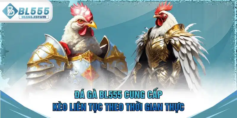 Đá gà BL555 cung cấp kèo liên tục theo thời gian thực